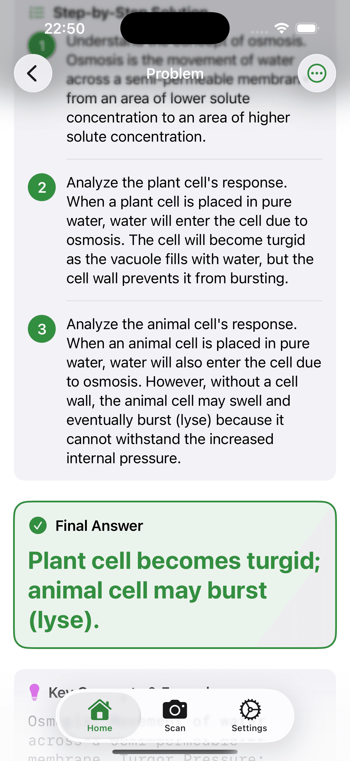 AI Solution